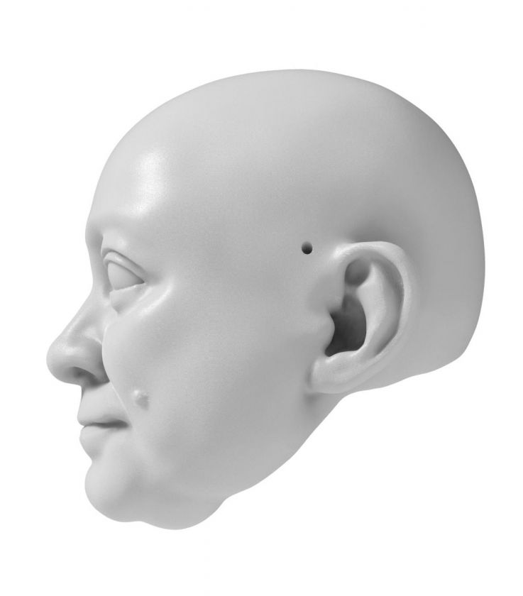 3D Model of prosperous man's head for 3D print 130 mm