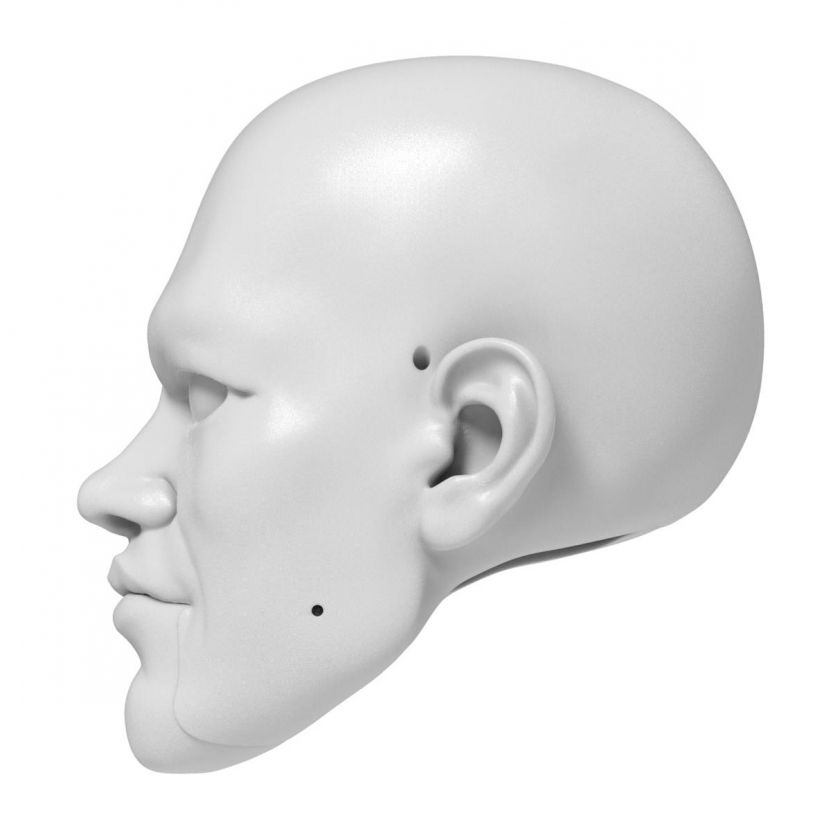 3D Model hlavy Matta Damona pro 3D tisk 125 mm