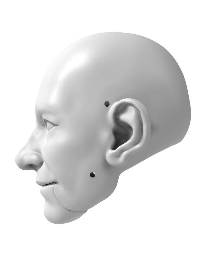 3D Model hlavy Johna Ecka pro 3D tisk
