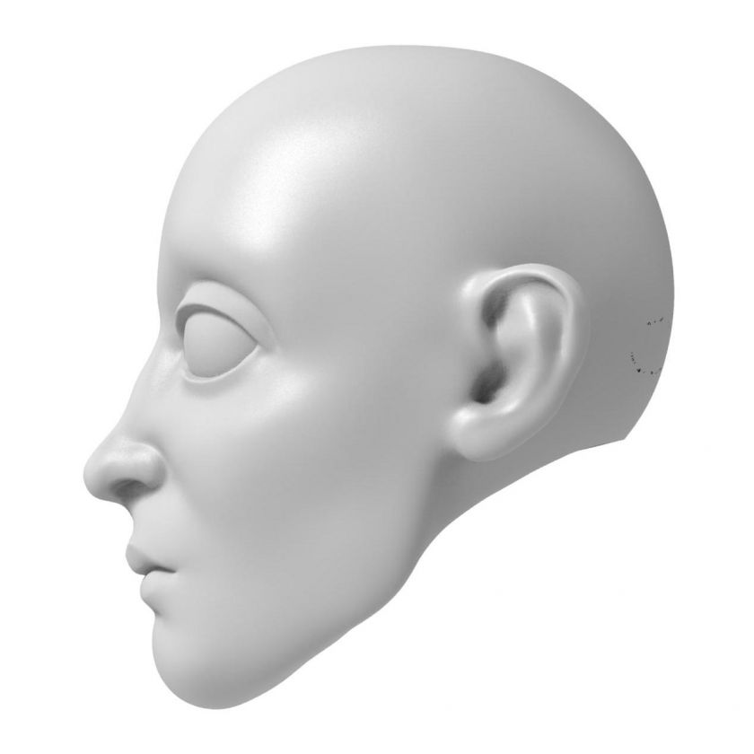 Prinze - Kopfmodel für den 3D-Druck 157 mm