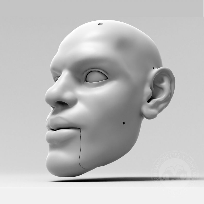 Lebron James, 3D Model of a man's head (for 40 inches marionette, movable eyes and mouth)