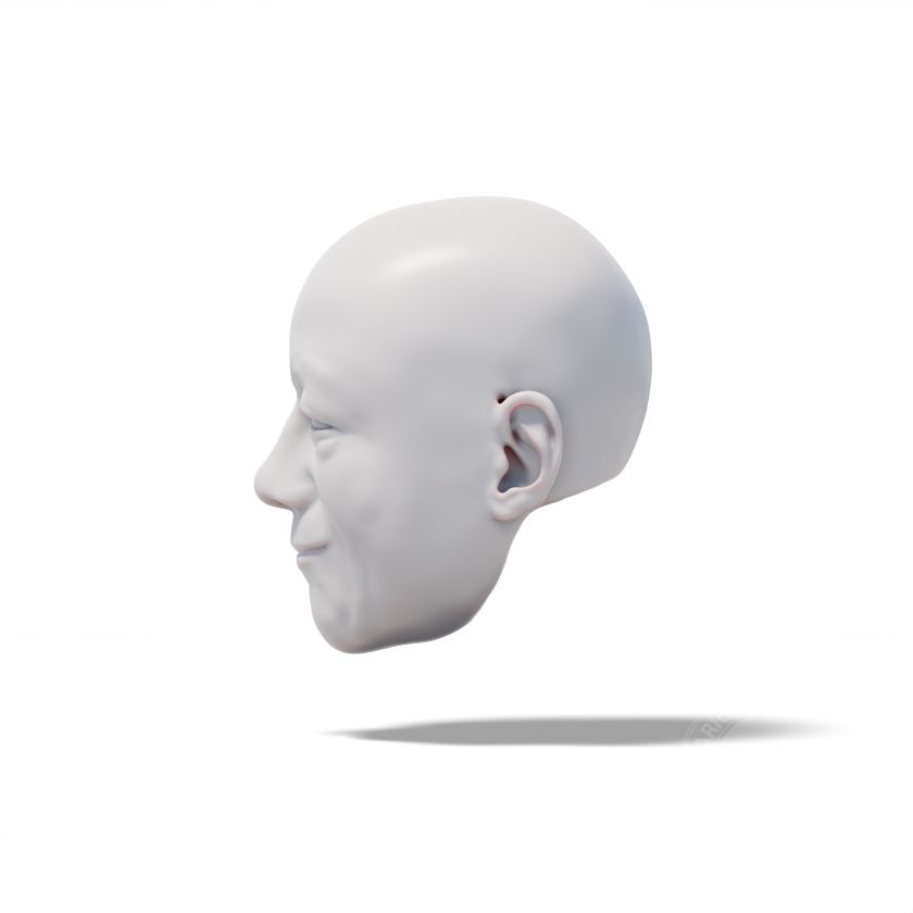 Modello 3D di una testa di gentiluomo sorridente per la stampa 3D