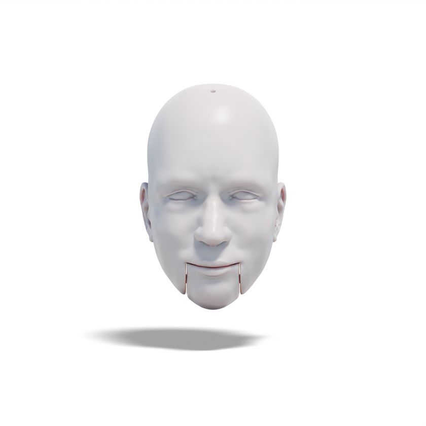 Man and Dog, 2x 3D models of head