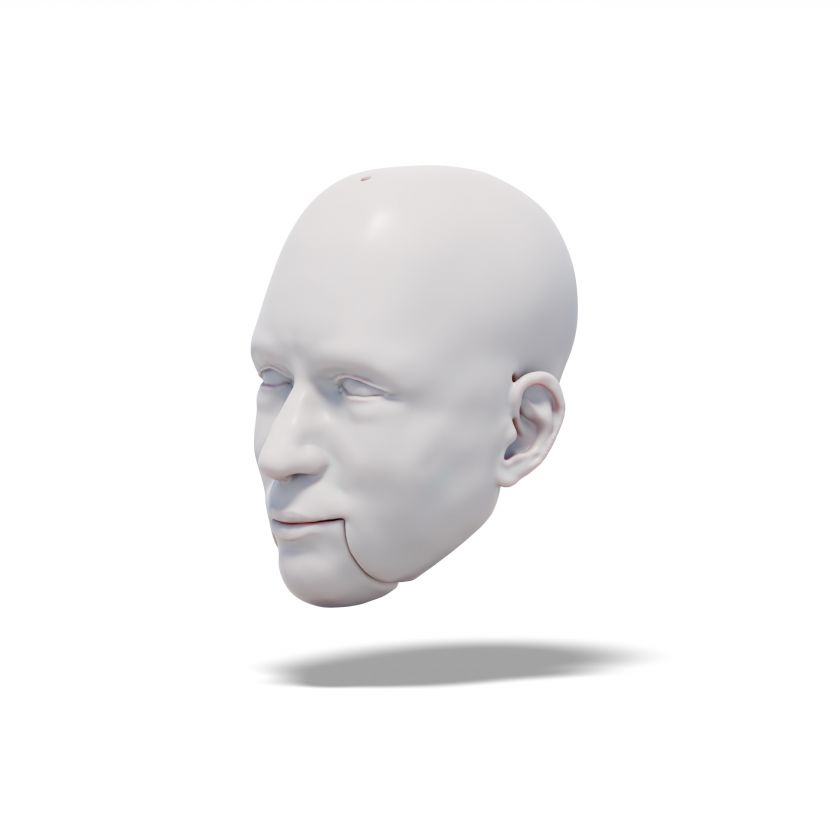 Mensch und Hund, 2x 3D-Modelle des Kopfes