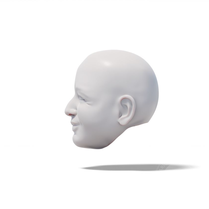 Modèle 3D d'une tête d'homme gentil pour l'impression 3D