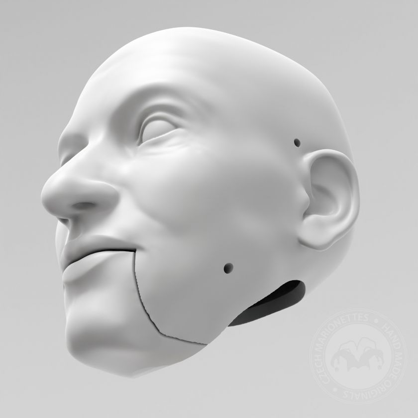 3D Model of man's head for 3D print