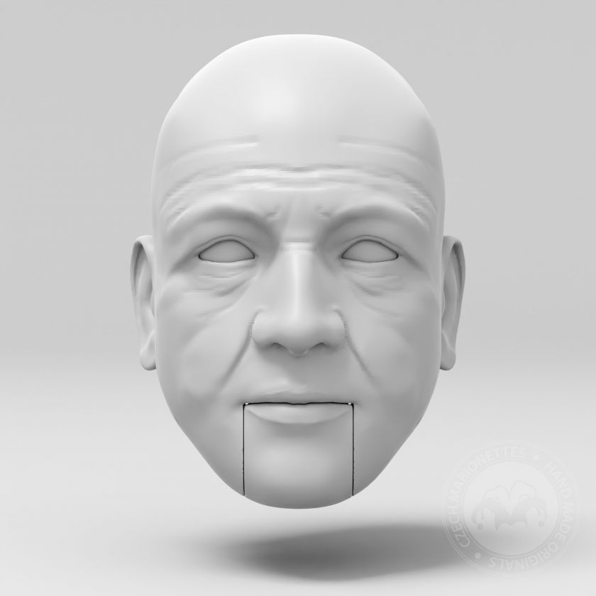 Model of Monet's head for 3D printing