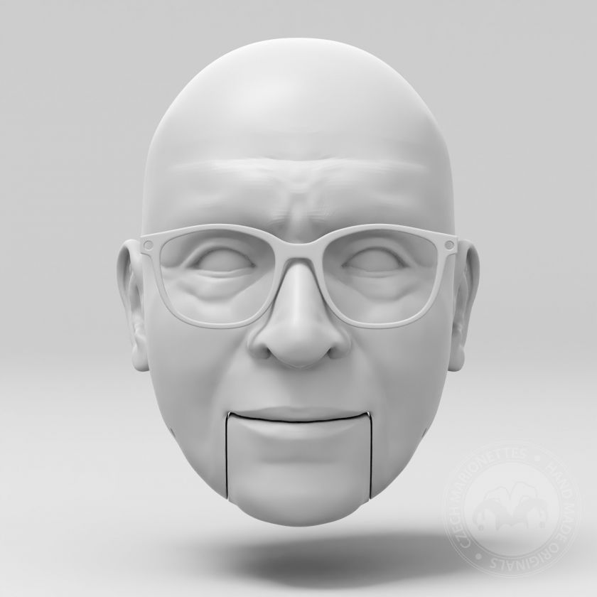 3D model hlavy profesora