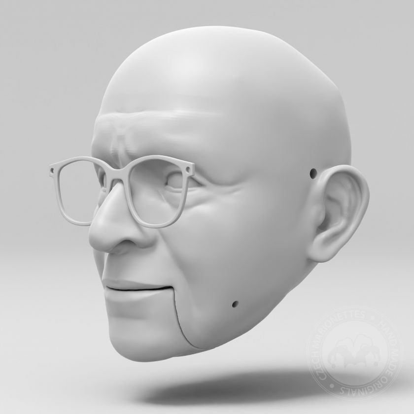 3D model of the professor's head