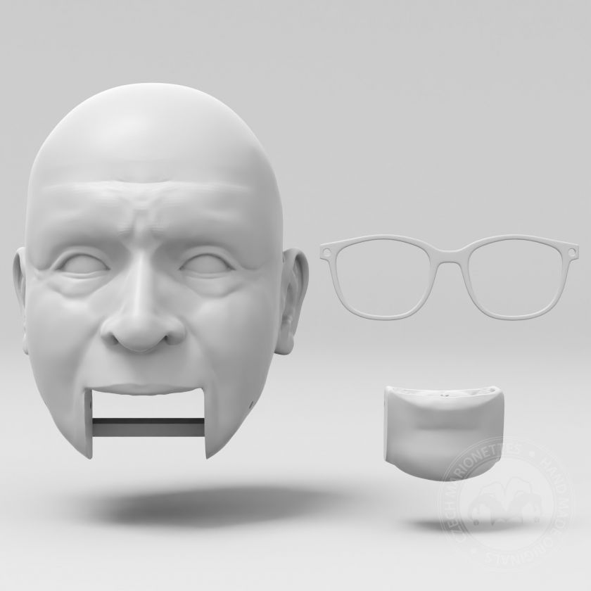 Modello 3D della testa del professore