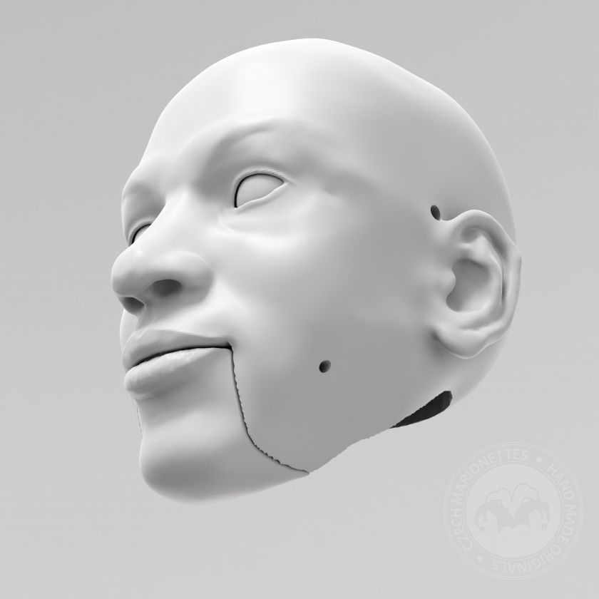 3D Model of Michael Jordan's head for 3D printing