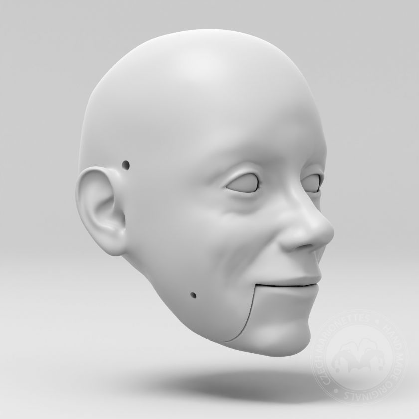 Modello 3D della testa di Joan Mitchell