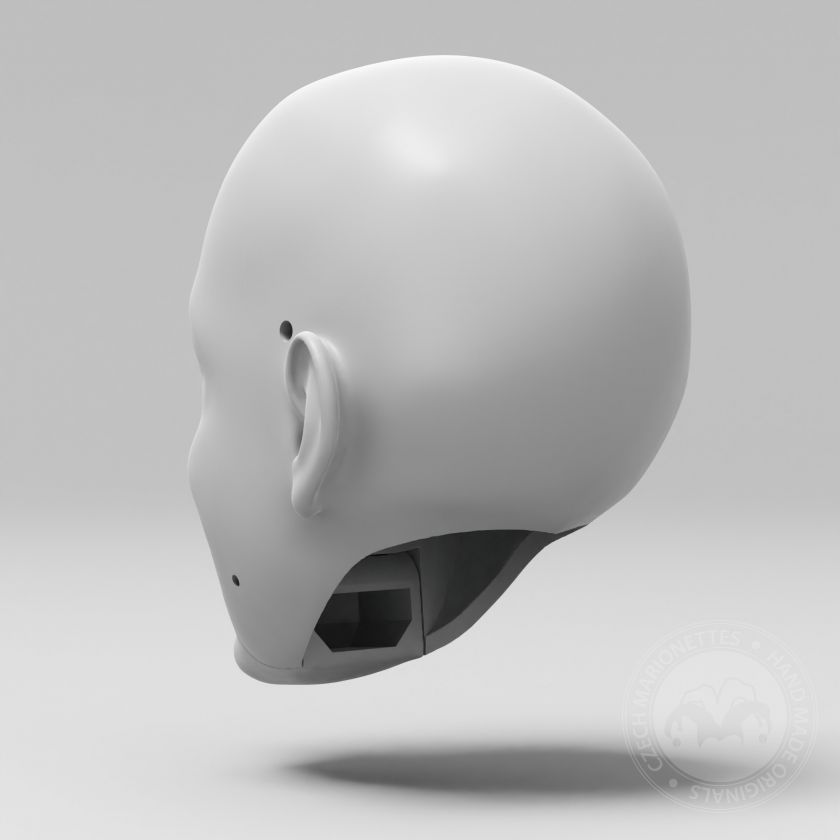 Modello 3D della testa di Joan Mitchell