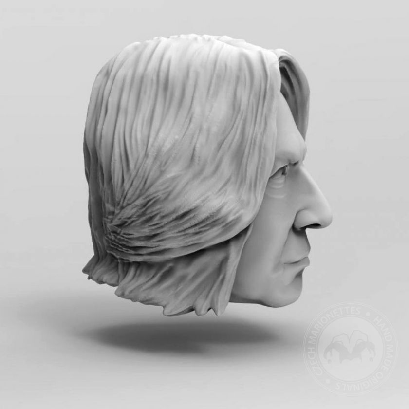 3D Model hlava profesora Snapea pro 3D tisk