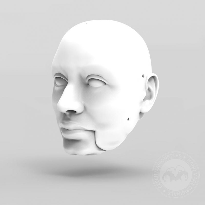 3D Modèle de tête d'un homme pour l'impression 3D 155 mm