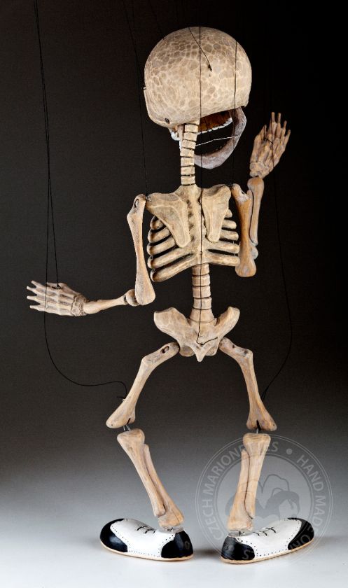 Spezielles einzigartiges Skelett von Aleš