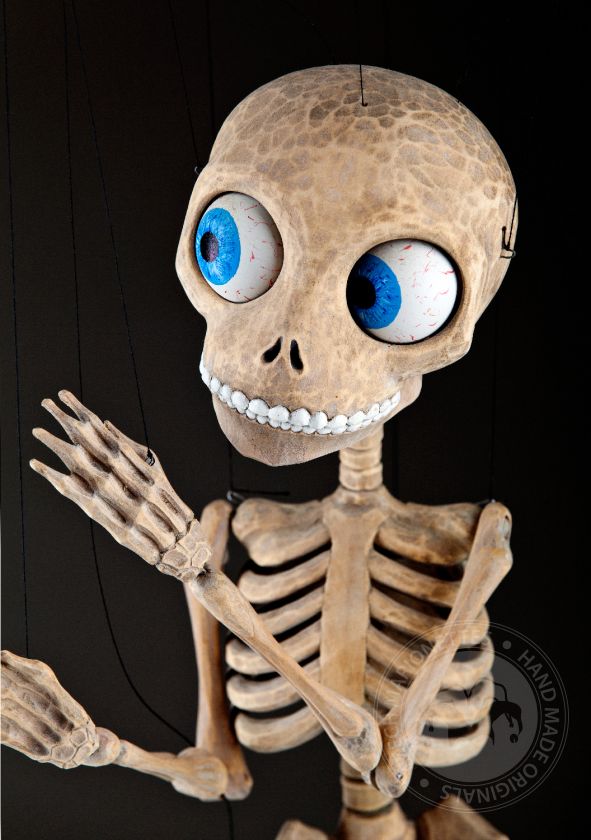 Spezielles einzigartiges Skelett von Aleš