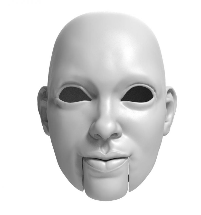 3D Model of clever lady head for 3D print