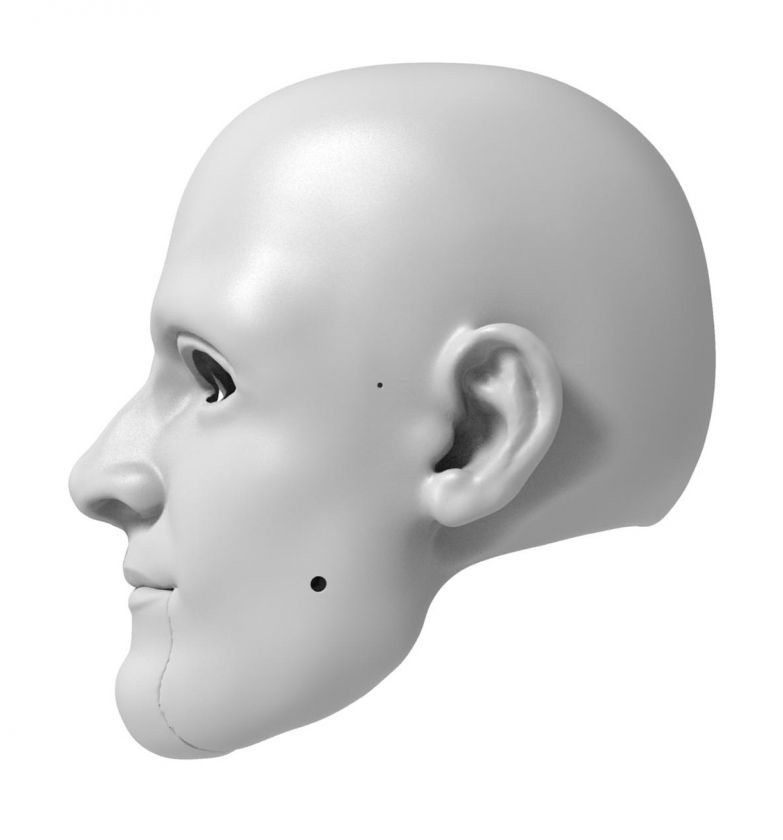 3D Modèle de tête d'un héros pour l'impression 3D