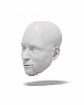 Man 3D model of head