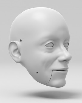Modèle 3D de la tête de Joan Mitchell