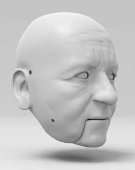 Agnes Martin- modello 3D della testa