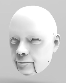3D Modèle de tête d'un homme d'âge moyen pour l'impression 3D
