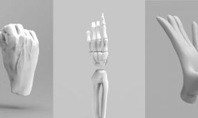 Hands for 3D printing
