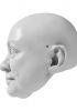foto: 3D Model of prosperous man's head for 3D print 130 mm