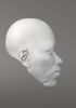 foto: Modello 3D di testa Jimmy Hendrix per stampa 3D 125 mm