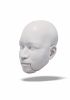 foto: 3D Model hlavy půvabného může pro 3D tisk