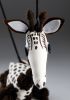 foto: Girafe - Marionnette souple Pepino