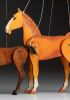 foto: Koník ryzák - dekorativní loutka