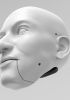 foto: 3D Model of Paul Stanley head for 3D print