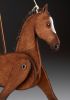 foto: Fohlen - Dekorative Marionette aus Holz