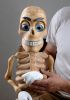 foto: Donnie - The ultimate ventriloquist puppet skeleton