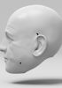 foto: Model of Monet's head for 3D printing