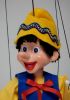 foto: Malý Pinocchio