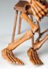 foto: Le Squelette Violoniste