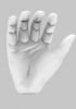 foto: 3D Modèle des mains ouvertes pour l'impression 3D