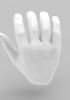 foto: 3D Model of open palm hands for 3D print