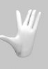 foto: 3D Model of hand with stretched fingers for 3D print