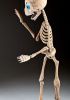 foto: Spezielles einzigartiges Skelett von Aleš
