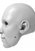 foto: 3D Model of clever lady head for 3D print